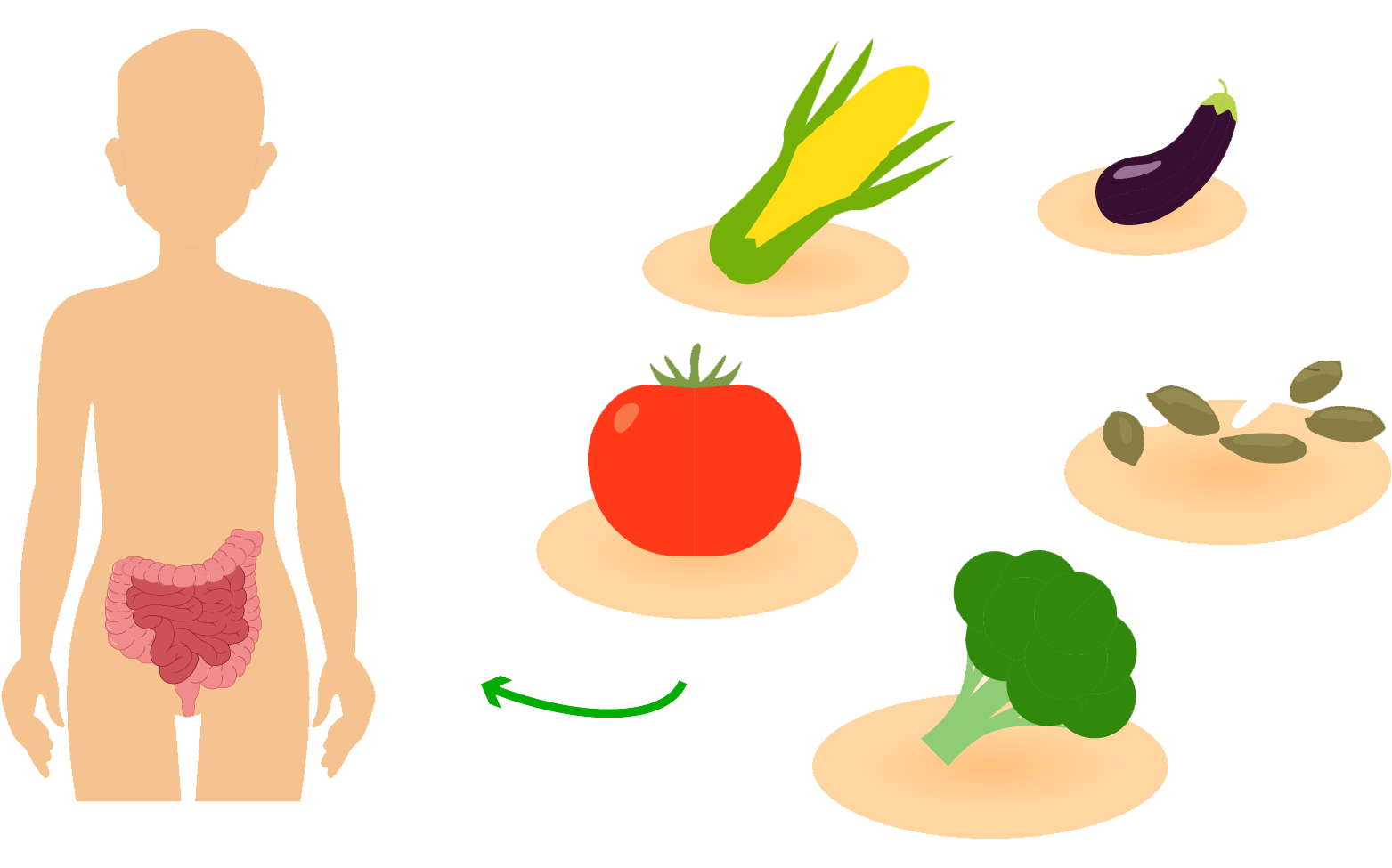 Waarom-Tricolin-1-1 Waarom-Tricolin-1-1